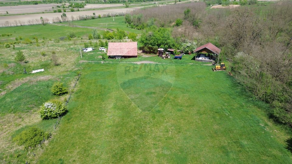 Domain - 66 Hectares - Special land Copsa Mica with access to DN14