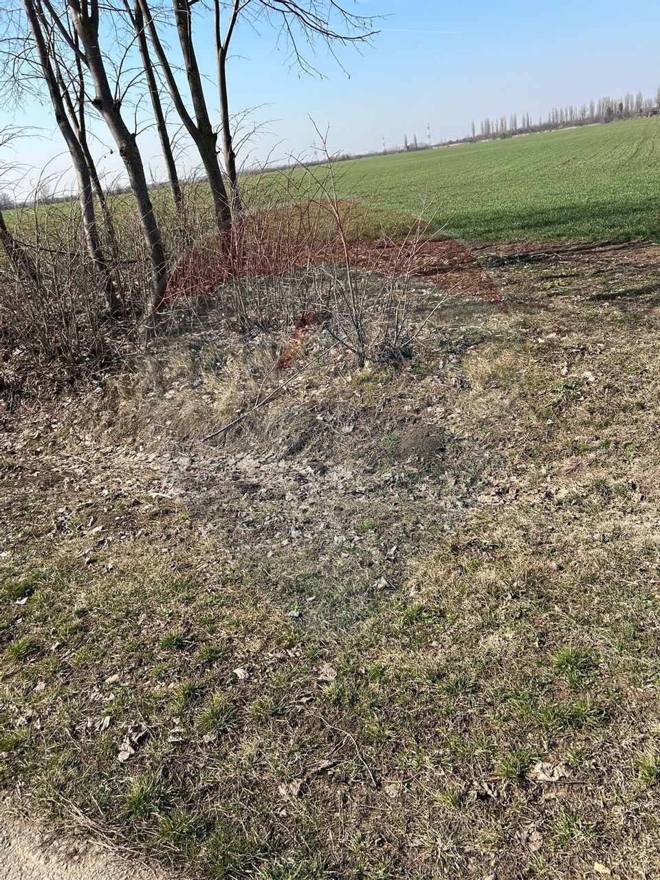 De Vanzare Teren 12,900mp Moara Vlasiei / Drumul Teilor