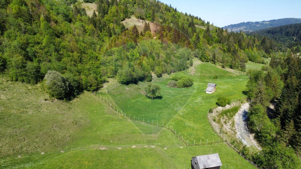 Land 12,127sqm Frasin / Drumul Forestier Valea Seacă