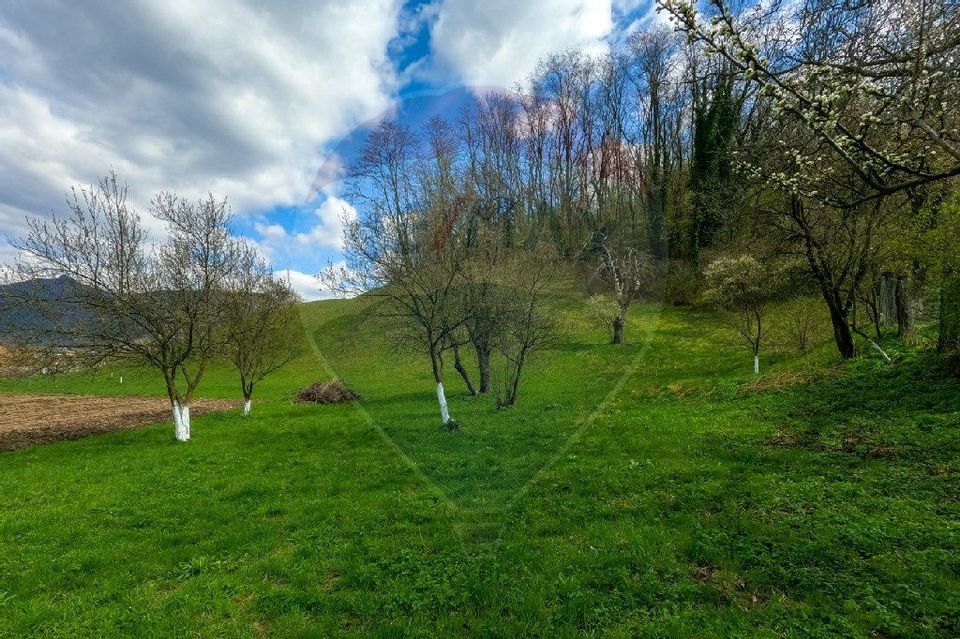 Teren partial intravilan 2,984mp Baru ,jud.Hunedoara