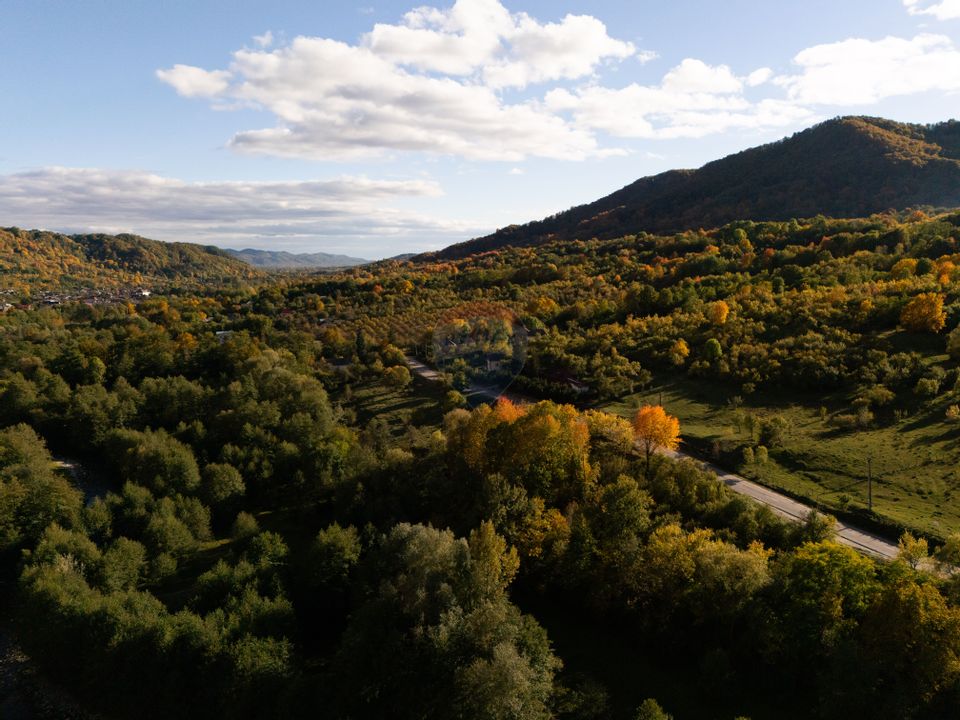 Vânzare pensiune renovată 2025 – 6 camere, Corbșori (Poenari)