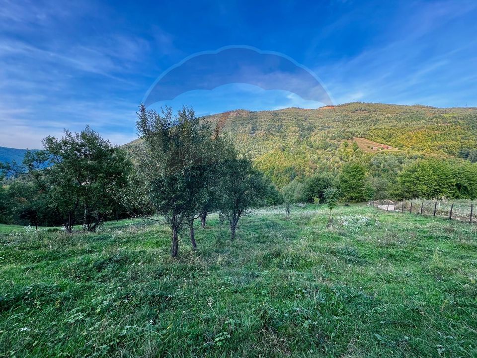 Teren 1812 mp de vânzare | Muntele Rece, cadru liniștit, Comision 0%