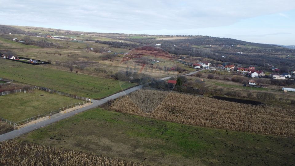 Teren 19.375 mp Dâmbu Rotund. Potențial rezidențial. Extravilan