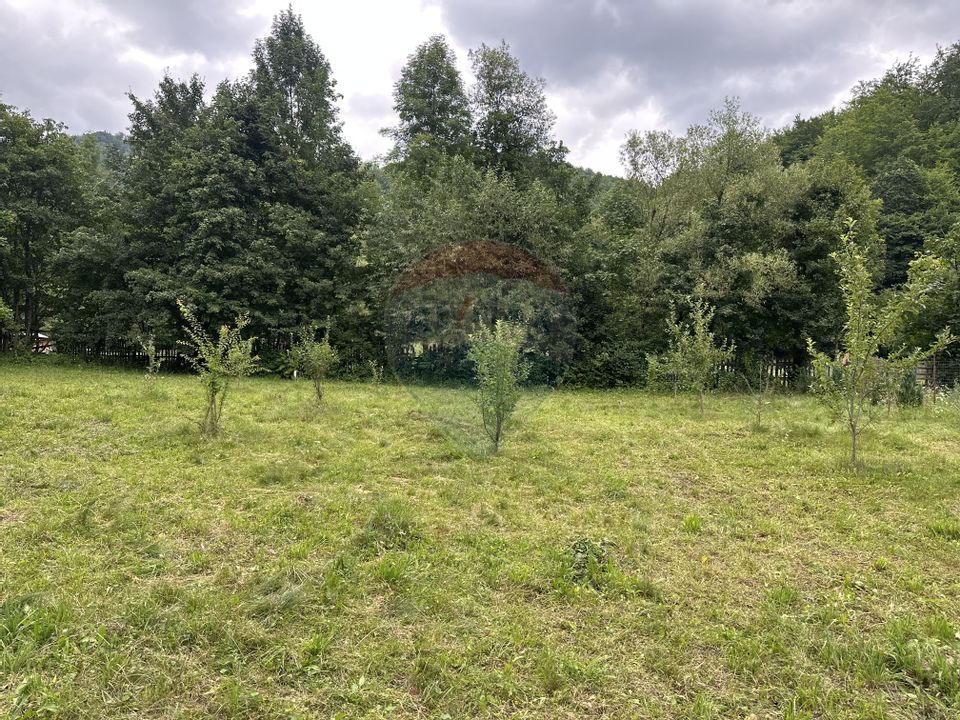 Land 1,350sqm Garcina / Strada Cuejdiului
