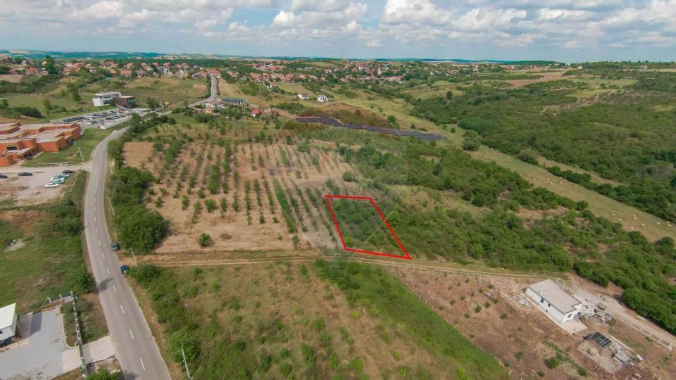 Teren intravilan 1,163mp de vânzare în Săldabagiu De Munte