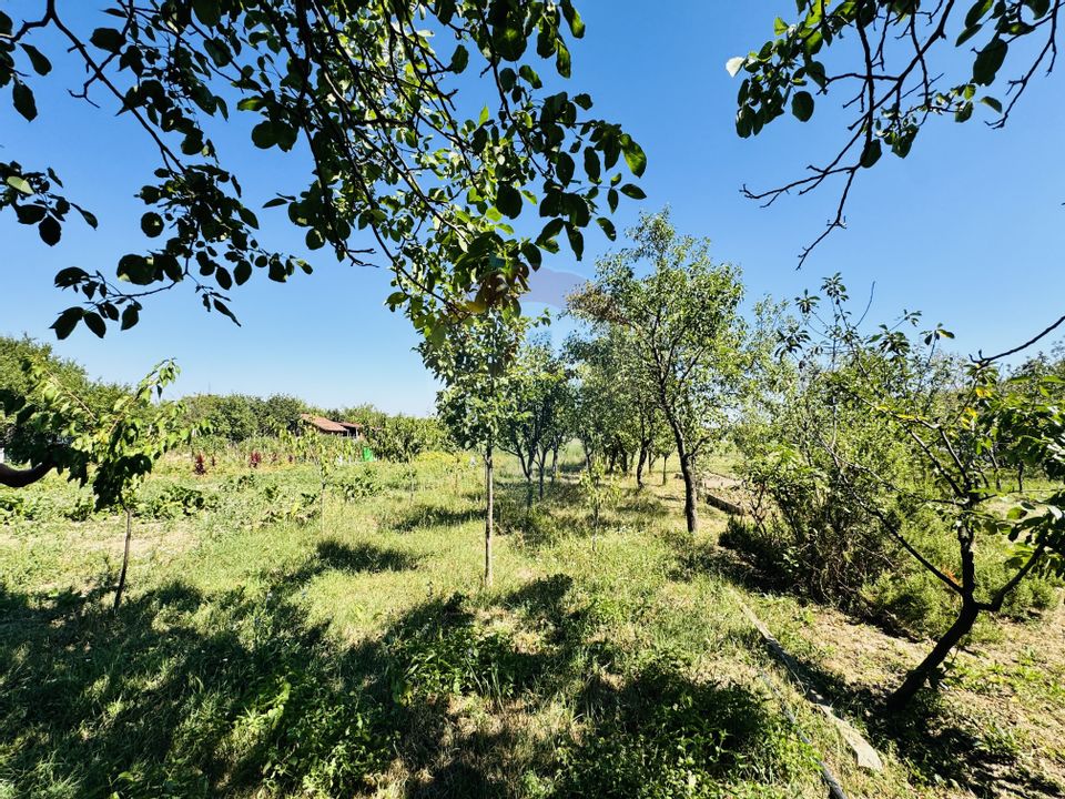 Teren 6,210mp Apateu / Strada Principala