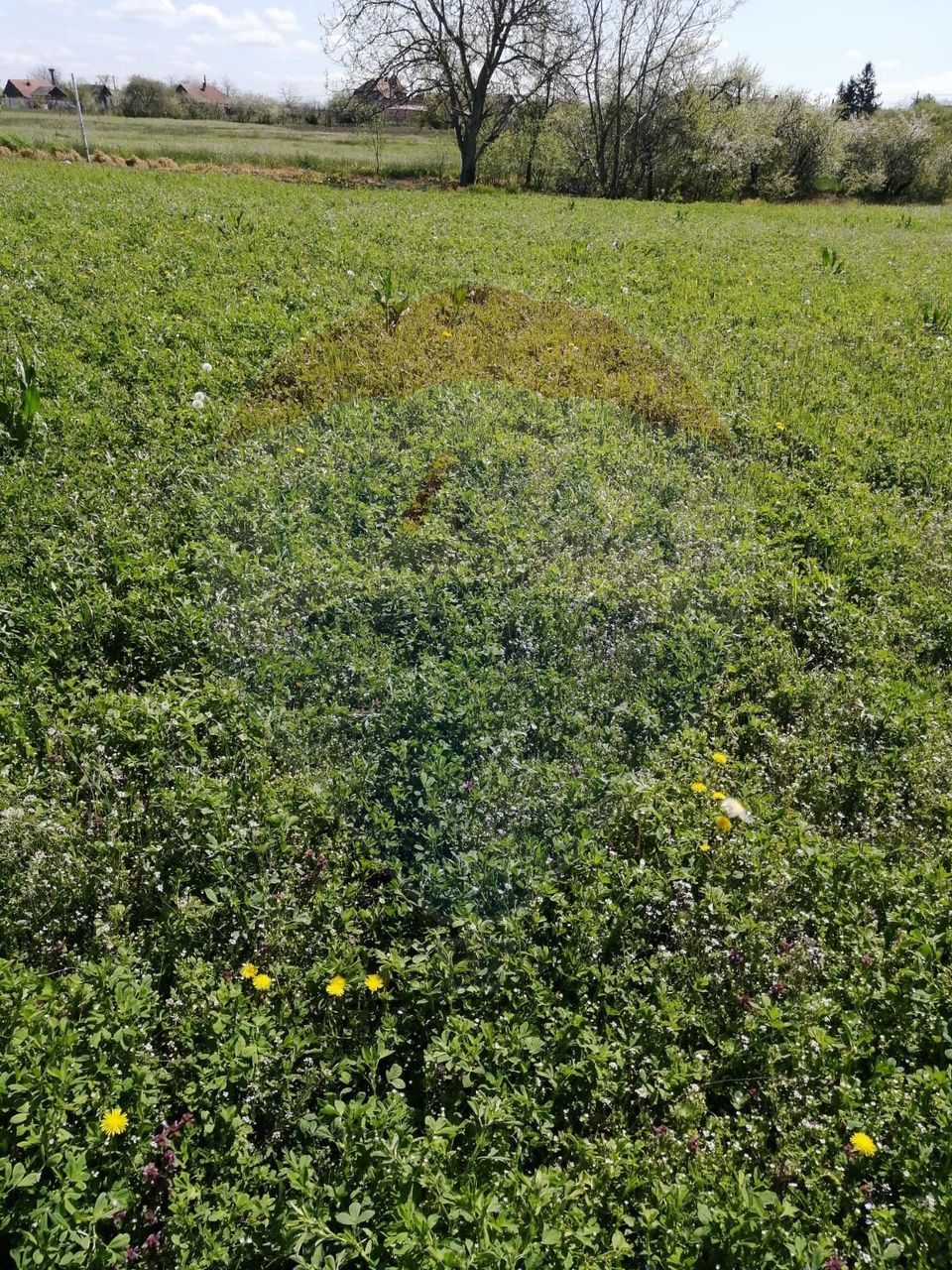 Land 6,574sqm Les / Soseaua Principala