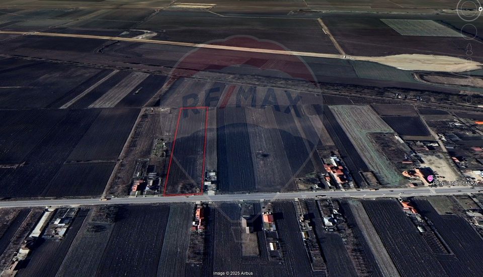 Land 19,100sqm Secuienii Noi / None