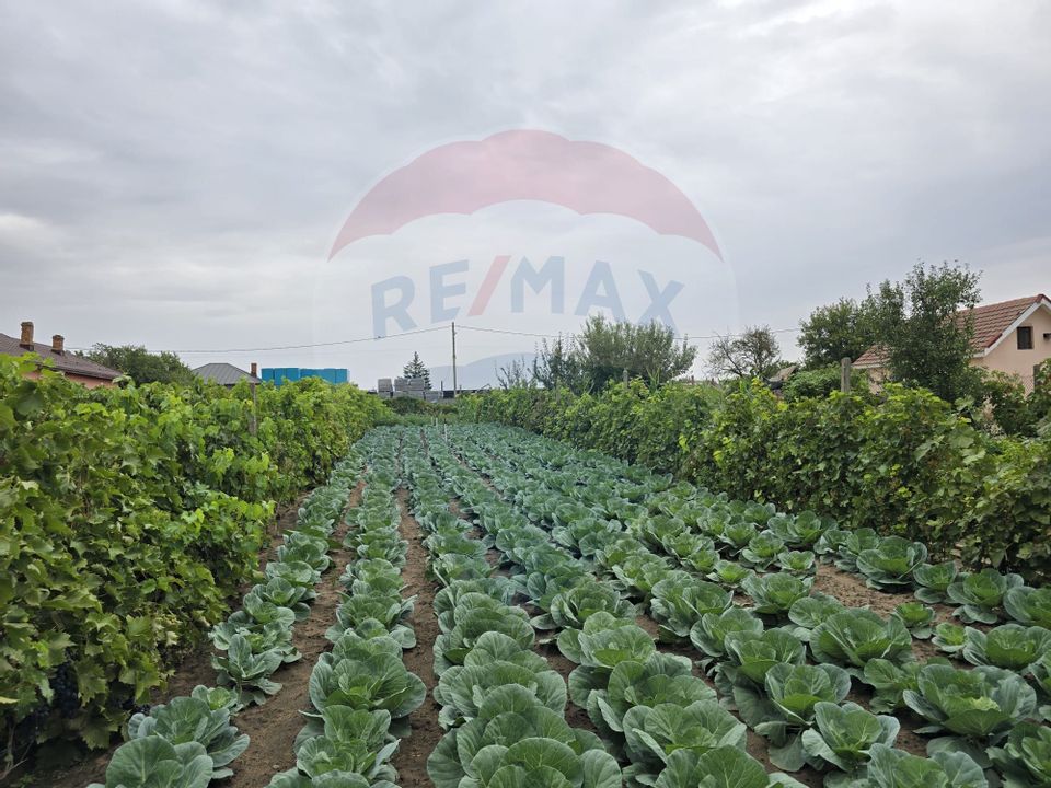 5 room House / Villa for sale