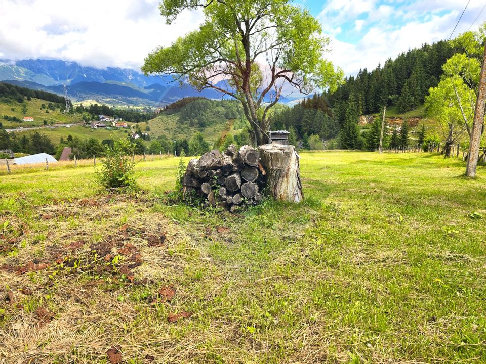 Teren de vis în Fundata 1934mp sau 3868mp, la înălțimea sufletului tău