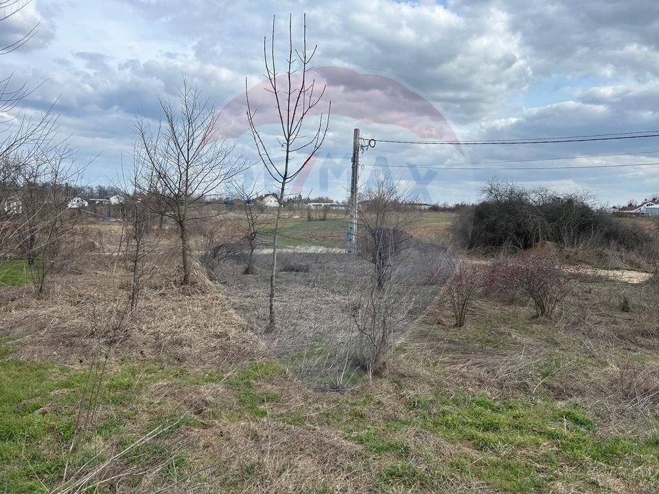 Land 700sqm Izvorani / Strada Gradinarilor