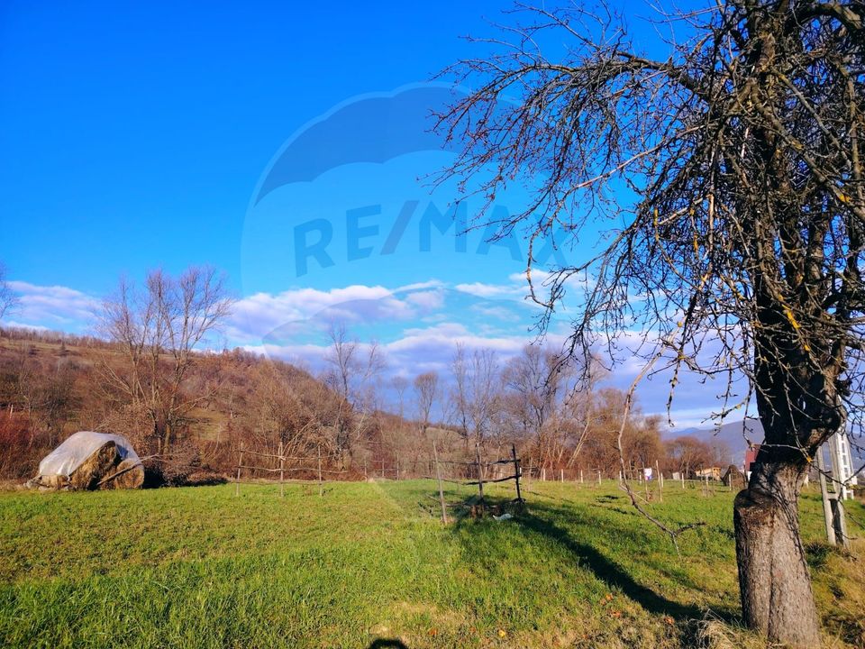 COMISION 0%  Teren intravilan de vanzare in Barsana (26 ARI)