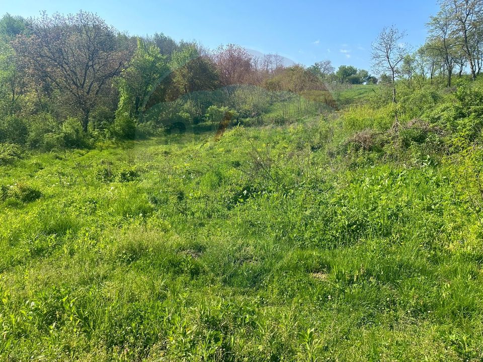 Land 1,000sqm Magura / Strada Valea Magurii