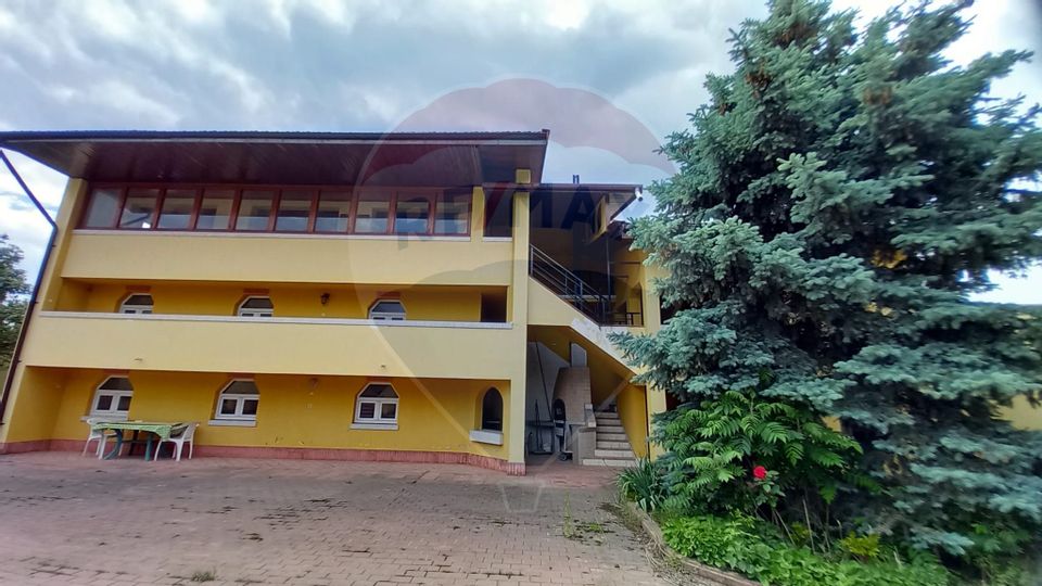 21 room House / Villa for sale, Alexandriei area