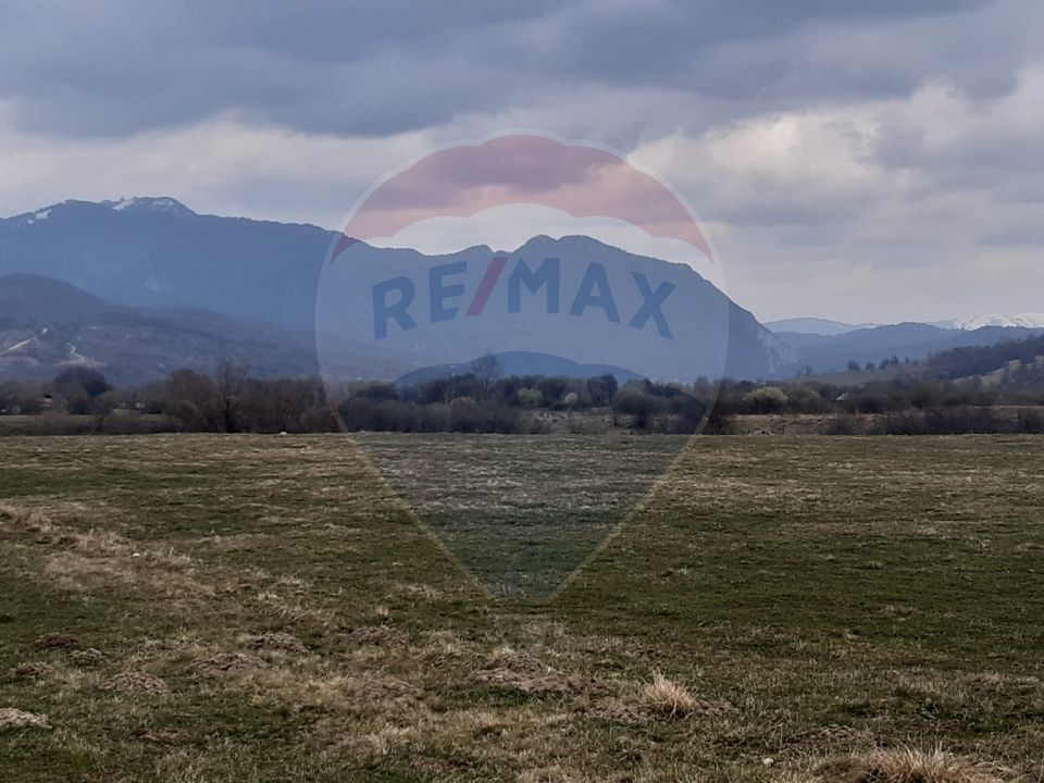 Teren 10,000mp Rasnov / Drumul Panicel