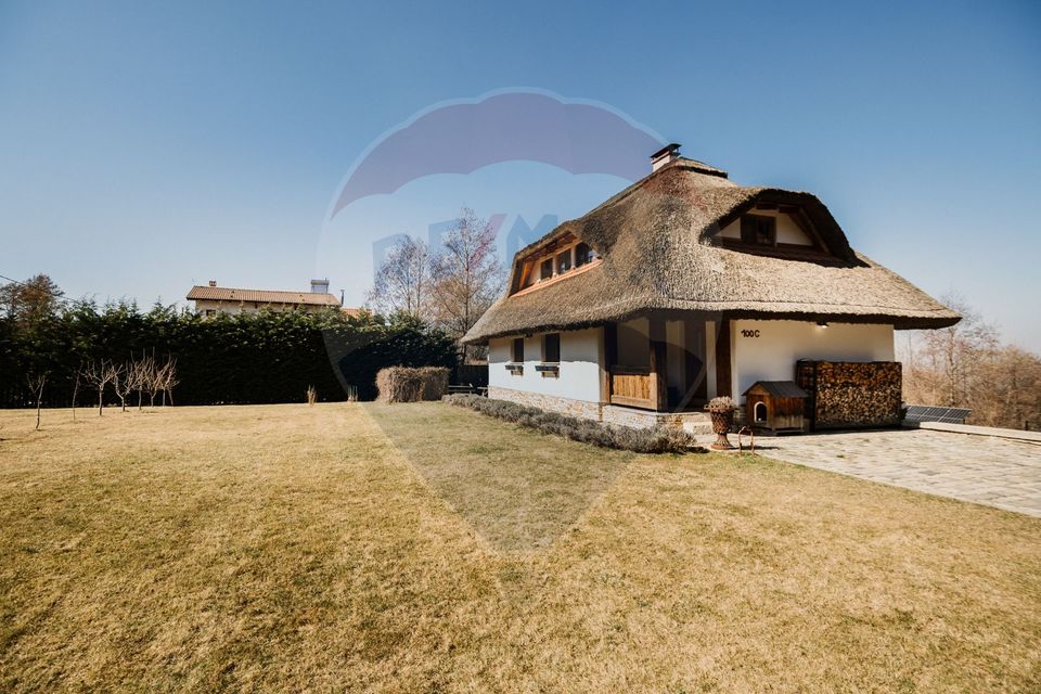 Casă cu arhitectura traditionala romaneasca I Salicea I Cluj