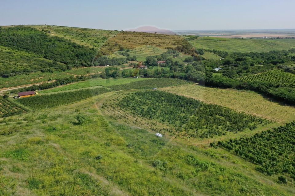 Oportunitate de investitie - Teren de vanzare I 4 ha I certificat ECO