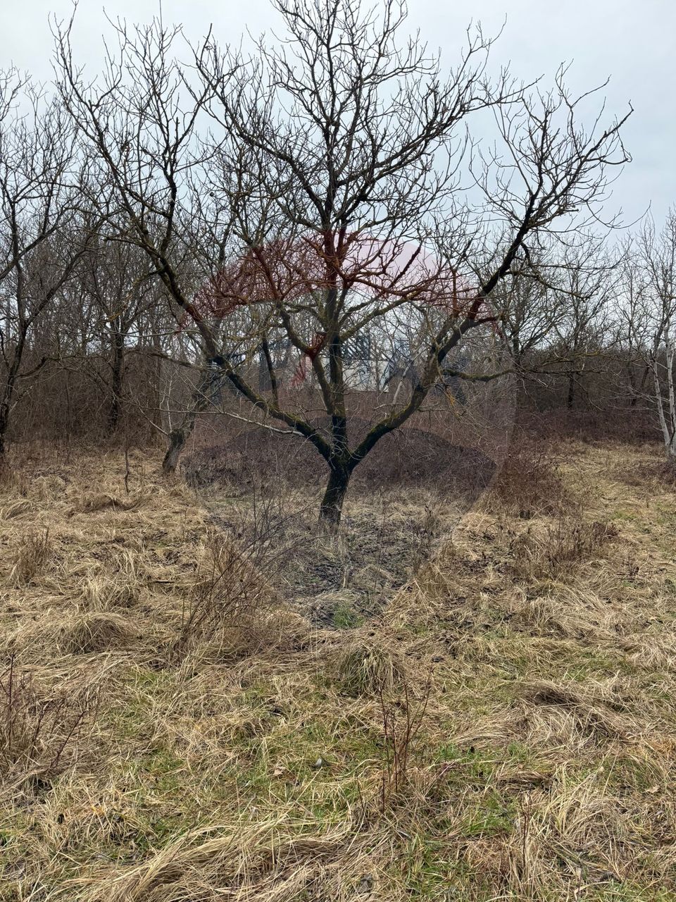 DE VANZARE Teren Strada Victoriei Baia Mare