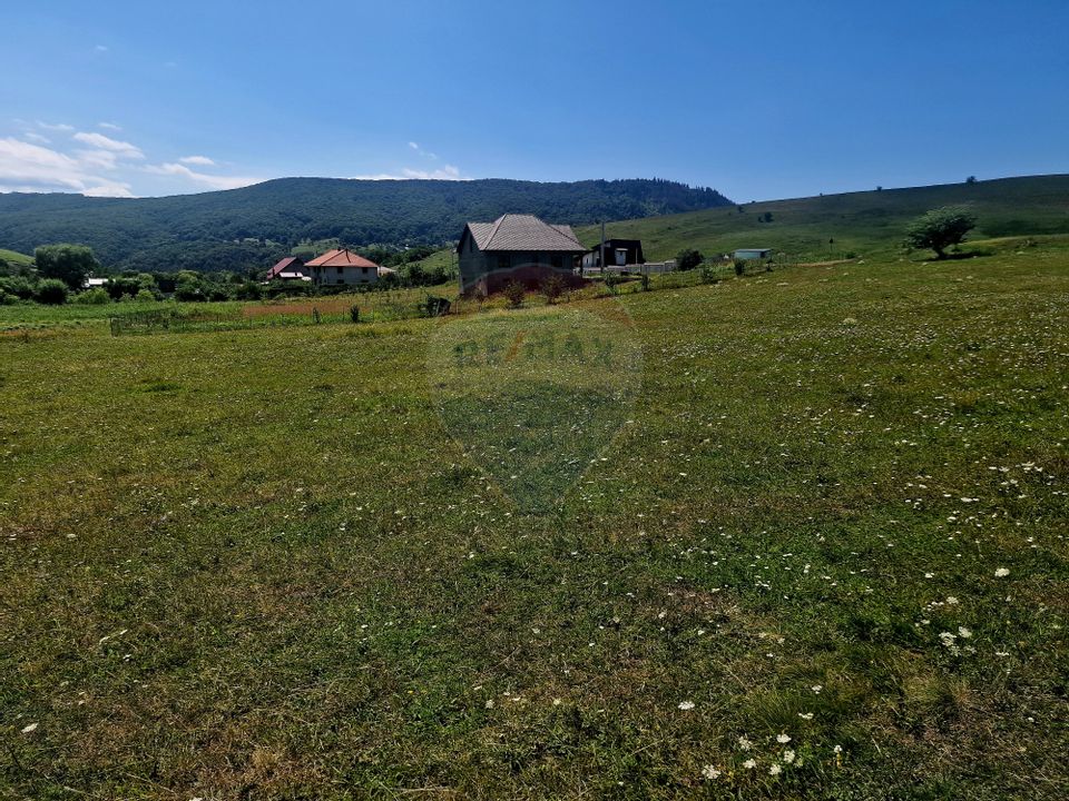 Land 5,000sqm Piatra-Neamt / Strada Punct Petruca