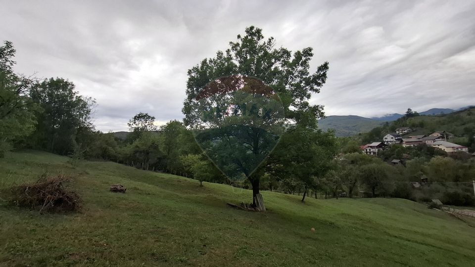 Teren cu priveliste spectaculoasa, 4000mp, la 18km de Sinaia