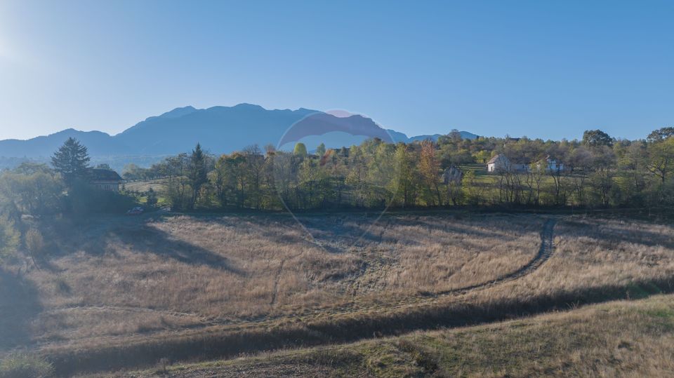 Comision 0% Teren de vânzare, zona Bran - Sohodol, 4000mp, parcelabil!