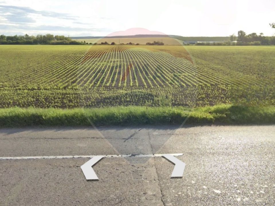Land 13,773sqm Bogdan Voda / Strada Principala