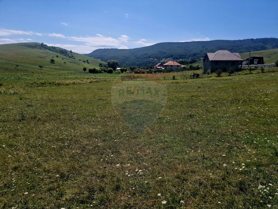 Land 5,000sqm Piatra-Neamt / Strada Punct Petruca