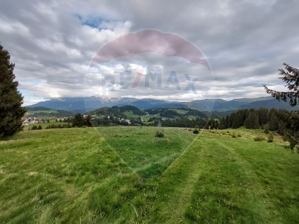 O fereastră către cer – teren de vis în Fundata, la poalele Bucegilor