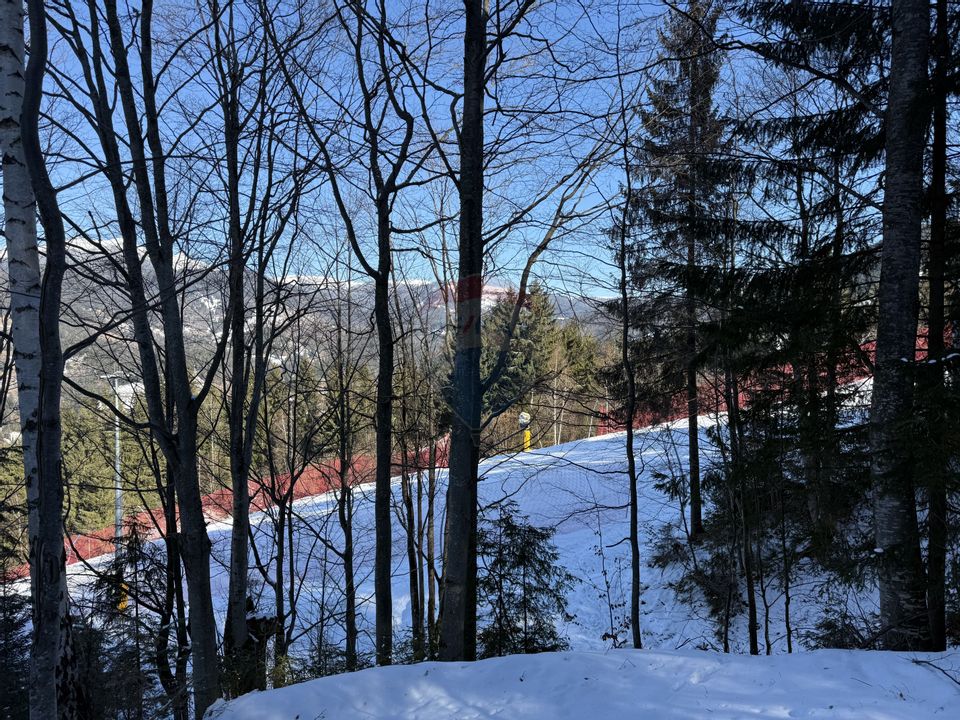 Cabană în inima munților,acces la pârtia de schi din Borșa,teren2200mp