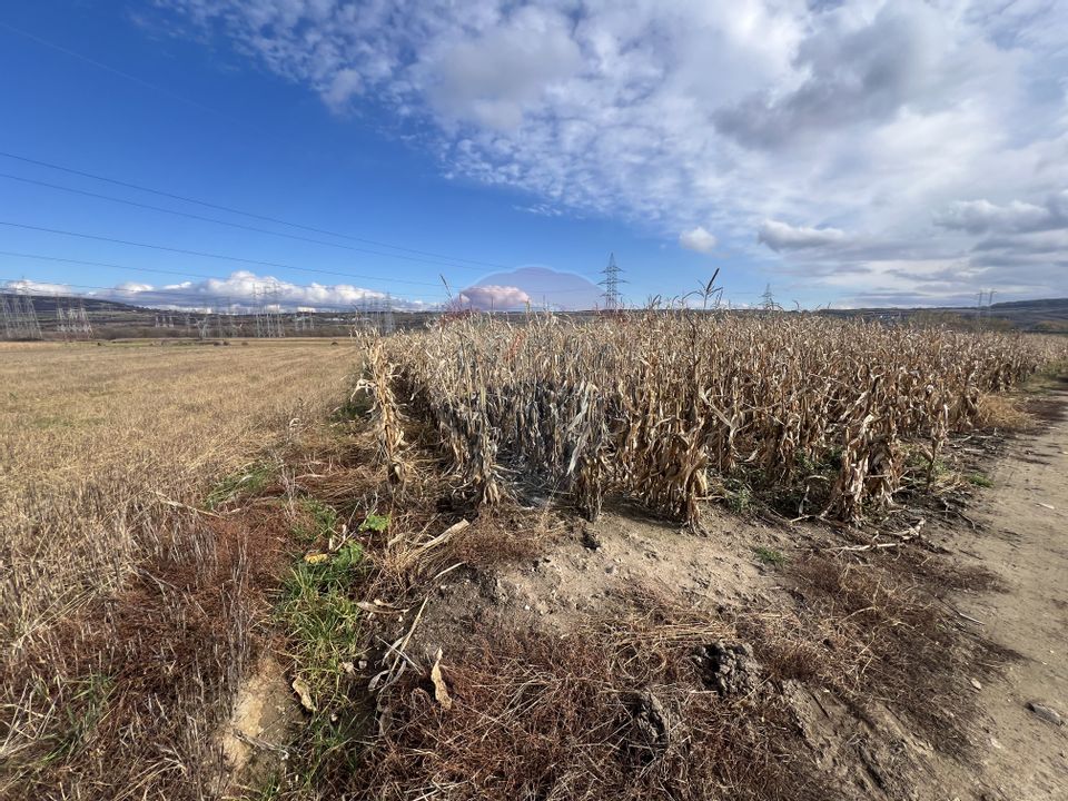 Teren extravilan agricol de vânzare - Selimbar Sibiu