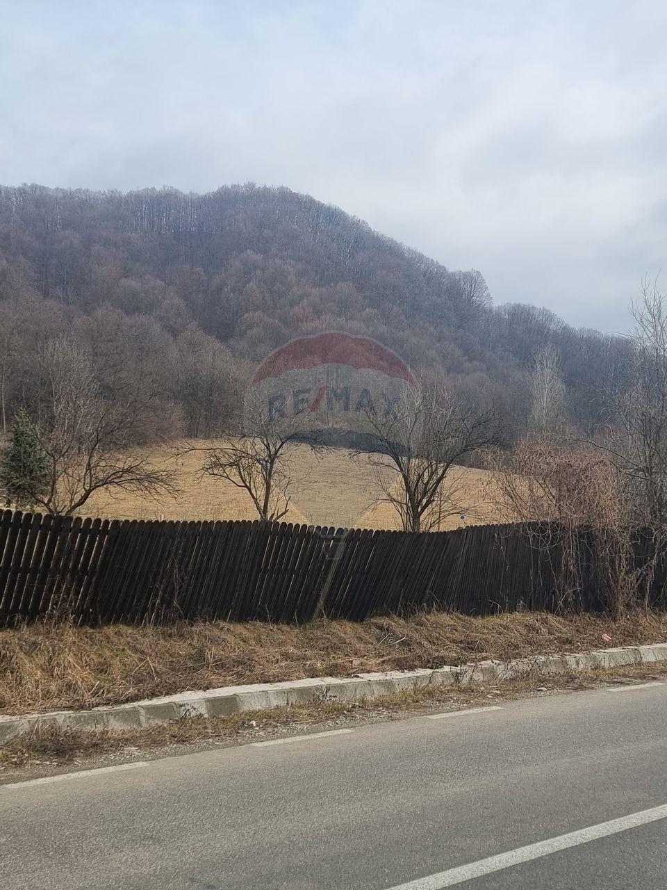 Land 10,000sqm Varfuri / None