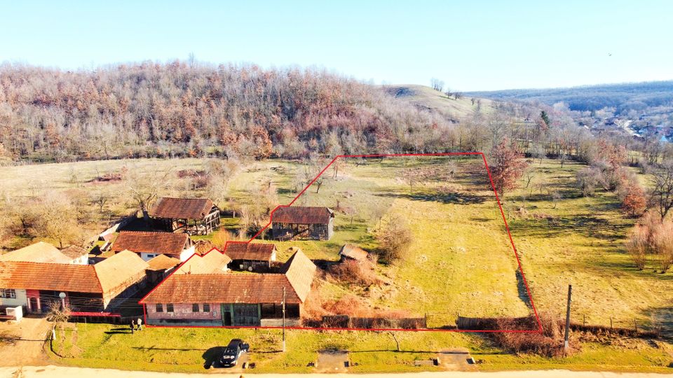 Moștenirea din Iersnic: poveste, utilități urbane și liniste banateana