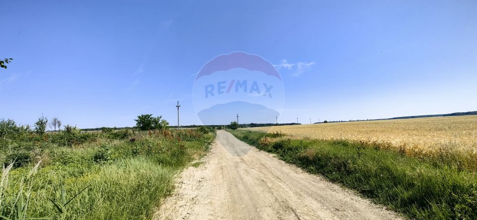 Land 10,535sqm Snagov / Strada Tarla 132