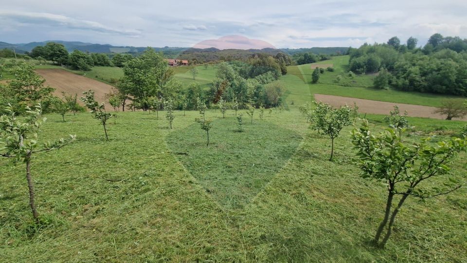 Land 5,862sqm Bratca / Drumul principala