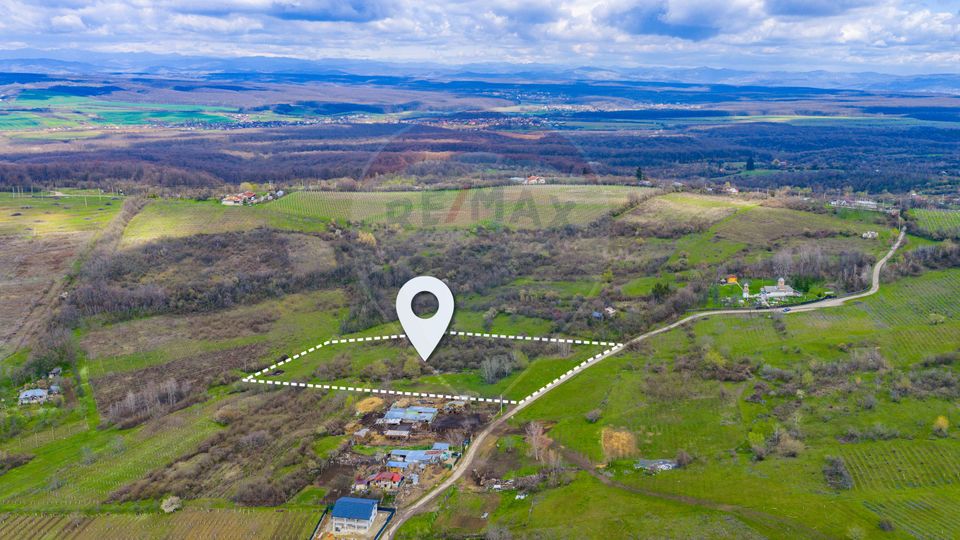 Teren 33.500 mp-Valea Orlei, Prahova/ COMISION 0%