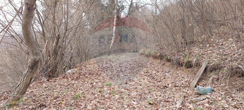 Teren de vânzare – Brașov, zona Dupa Iniste, 2710 mp