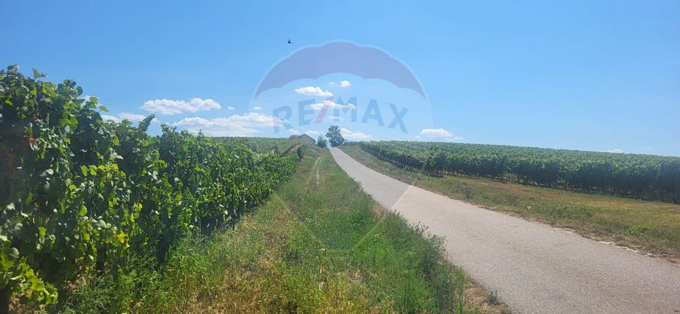 Land 70,000sqm Maderat / Strada principala