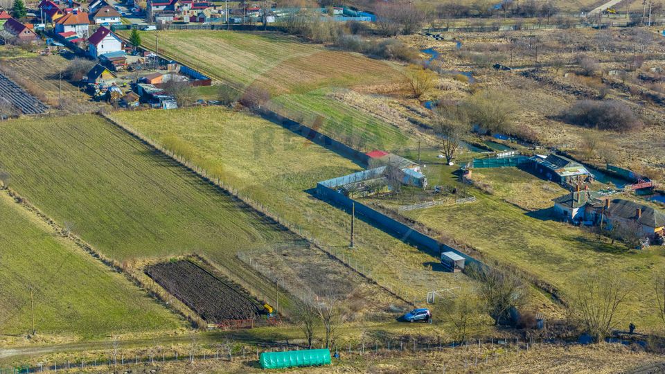 Teren Intravilan 5.000 mp Prejmer -  Strada Preot Ioan Popescu