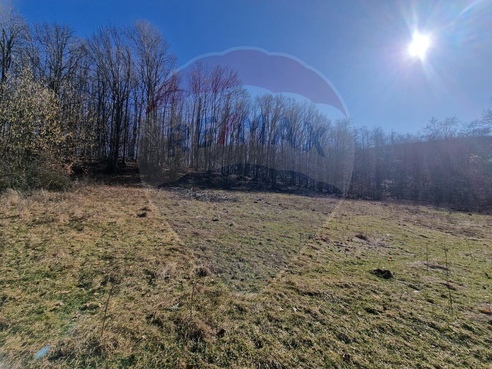 Land 4,985sqm Sascut / None