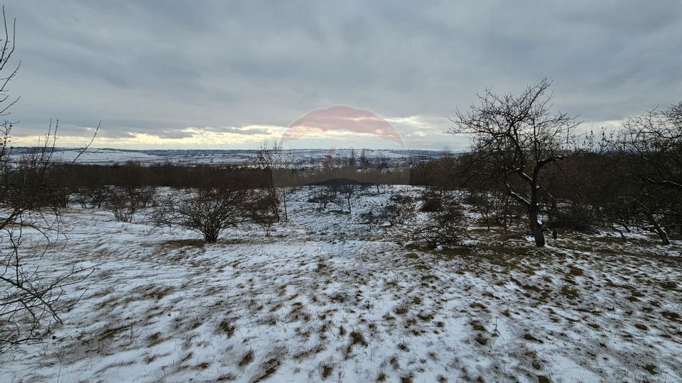 Teren 10,000mp Rădășeni / Șoseaua DN2-E85, județul Suceava