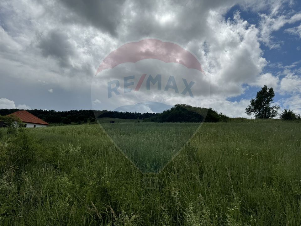 Land 2,700sqm Babutiu / Strada Principala