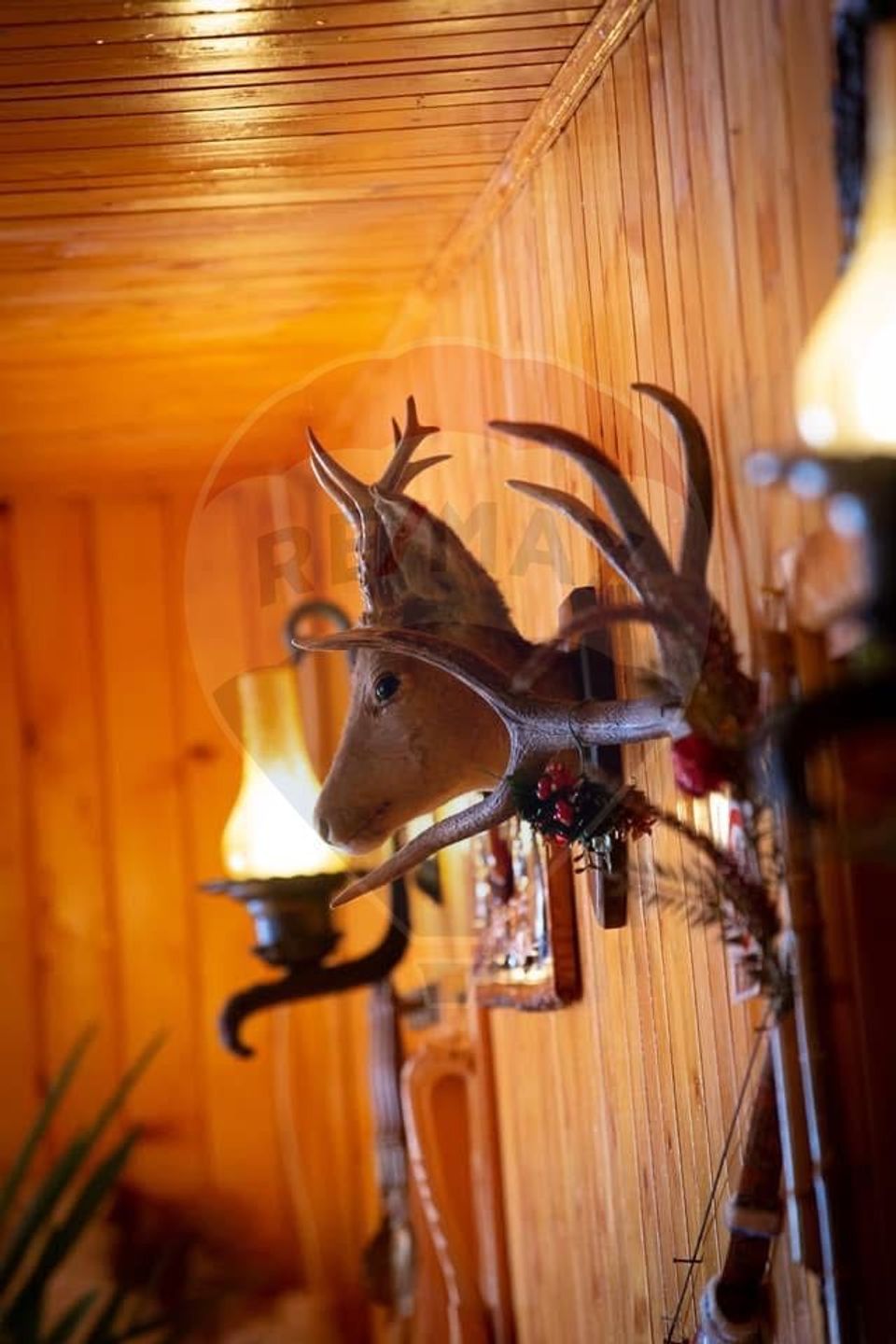 De Vânzare Pensiune Rustica De Vis Pe Ruta Lerești-Voina