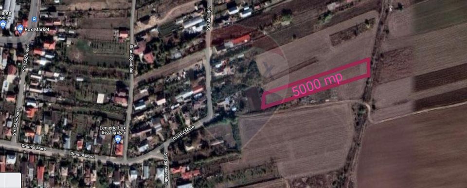 Land 5,000sqm Caciulati / Strada drumul mare