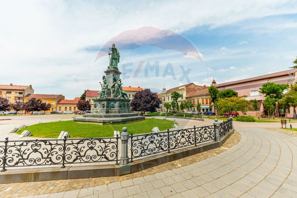 Apartament cu 1 camera la casa in zona ultracentrala