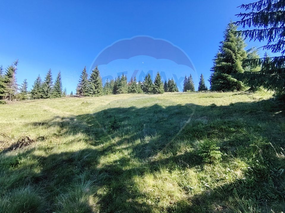 Teren 47,732mp Panaci / Strada MIhailet