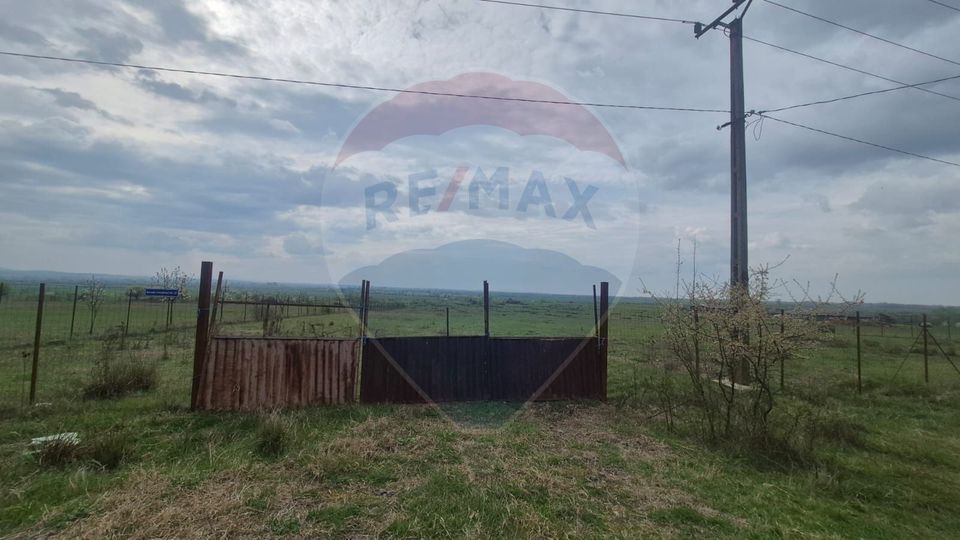 Land 5,000sqm Sebis / Strada CIUTARIEI