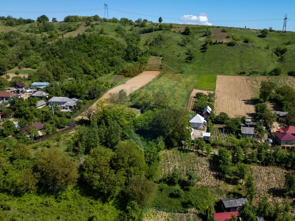 Teren 11.317 mp situat in Parava - Dragusani - Bacau