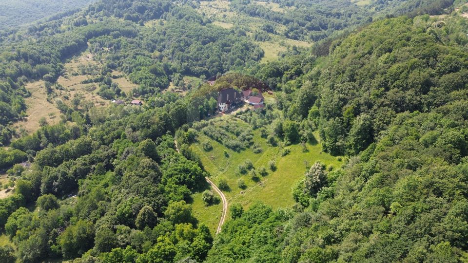 10 room House / Villa for sale