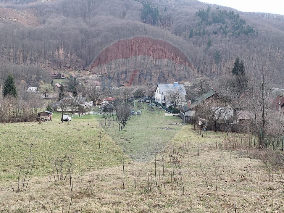 Land 2,694sqm Firiza / Strada Dambului