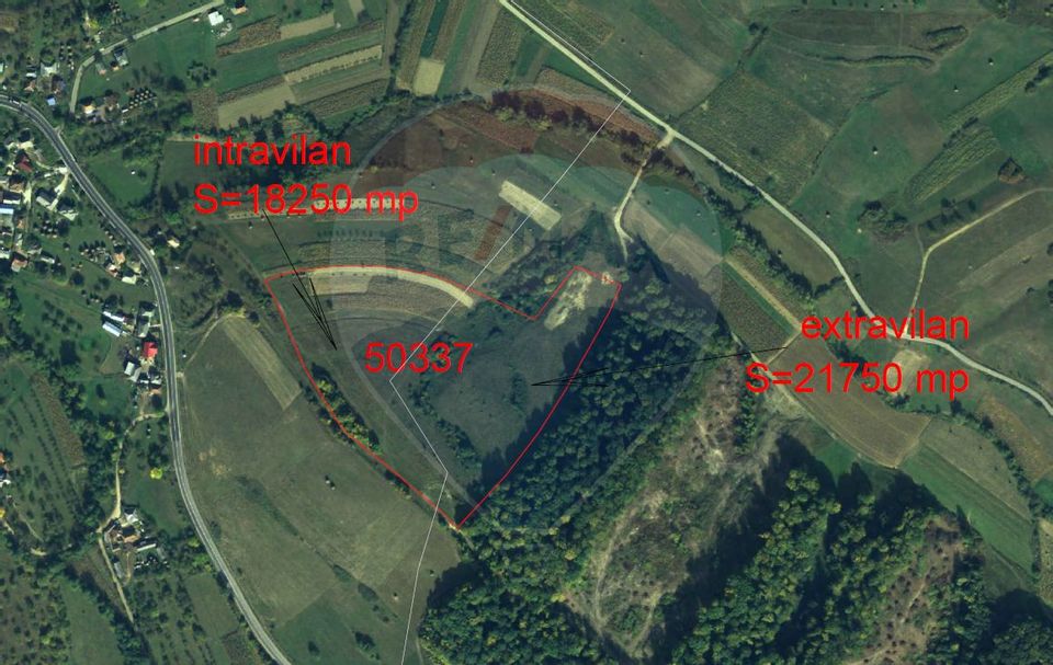 Land 40,000sqm Cernesti / Strada Principala